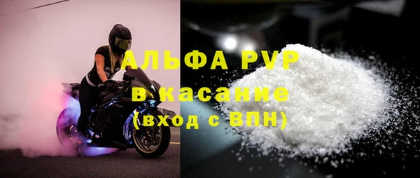 прущие крисы Аркадак