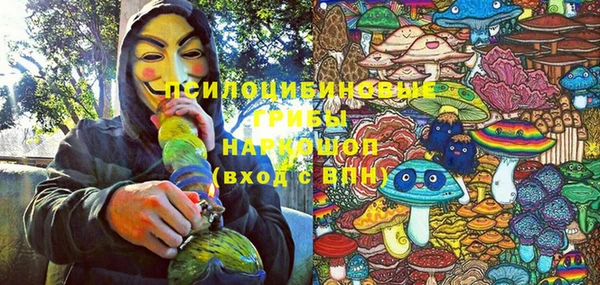 ECSTASY Армянск