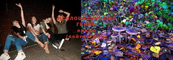 прущие крисы Аркадак