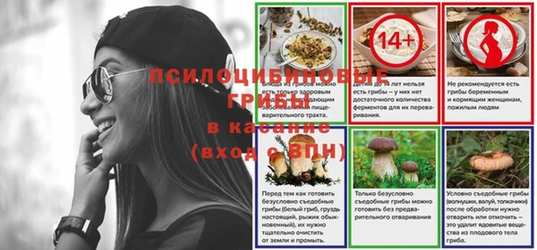 прущие крисы Аркадак