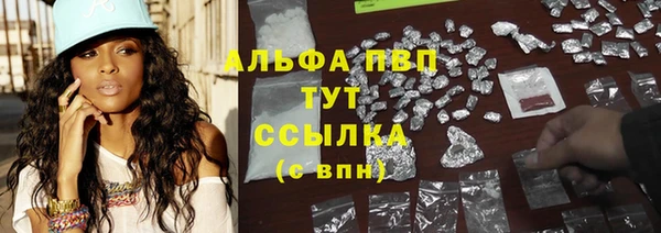 прущие крисы Аркадак