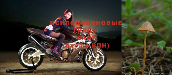 дмт Арсеньев