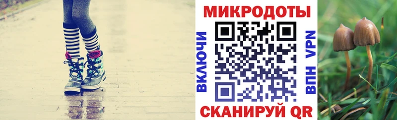 Галлюциногенные грибы Magic Shrooms  Красный Холм 